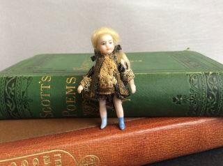 Antique French All Bisque Lilliputian Doll Miniature Mignonette Dollhouse Sz2.  5”