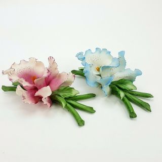 Vintage Capodimonte Porcelain Iris Set Blue & Pink Flower W/ Stem Figurine Italy