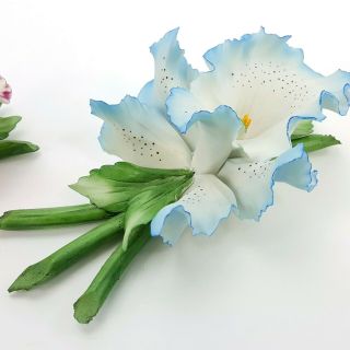 Vintage Capodimonte Porcelain Iris Set Blue & Pink Flower w/ Stem Figurine Italy 6