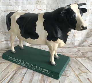 Vintage Displaymasters True Type Holstein Friesian Bull Cow Advertising Display