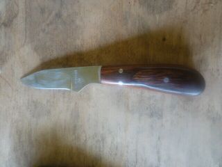 Vintage,  Stupid Rare,  E.  Nymeyer 88,  6 " Long,  3 1/4 " Fixed Blade Knife W Sheath