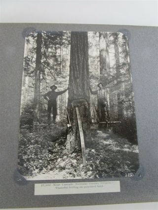 Photo Album with B&W Pictures National Forests 75,  Vintage 3
