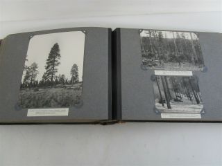 Photo Album with B&W Pictures National Forests 75,  Vintage 5