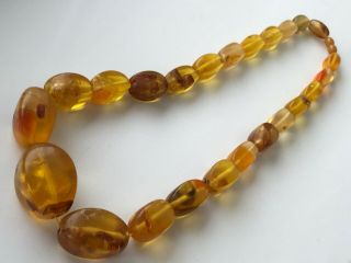VINTAGE Amber Beads Butterscotch / Egg Yolk Baltic Necklace 116 gr 2