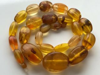 VINTAGE Amber Beads Butterscotch / Egg Yolk Baltic Necklace 116 gr 7