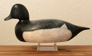 Vintage Rosh Douglas Bluebill Drake Duck Decoy Ogdensburg Ny St Lawrence River