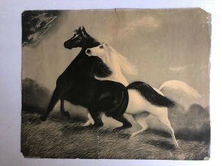 Large Antique 2 Two Spirited Horses Art Print Leroy 1904 Philadelphia