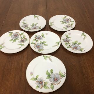 Roselyn China Dogwood Magnolia Pattern 8 " Salad Plate Vintage Mcm 1950s