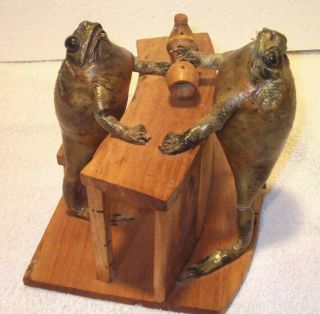 Vintage Pair Taxidermy Bull Frog Toads Belly To The Wood Bar Complete Very Cool