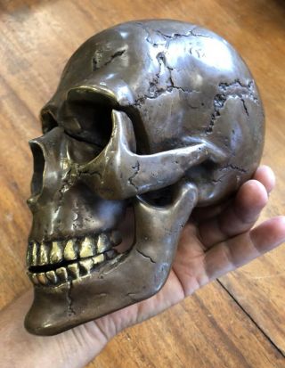 Skull Rare Vintage Patina Bronze Head Sculpture Statue Bronze Grade A