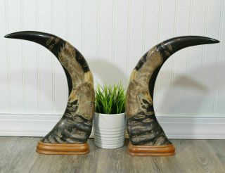 Vintage Hand Carved Eagles Water Buffalo Horns 14.  6 " Tall Pair On Wood Base