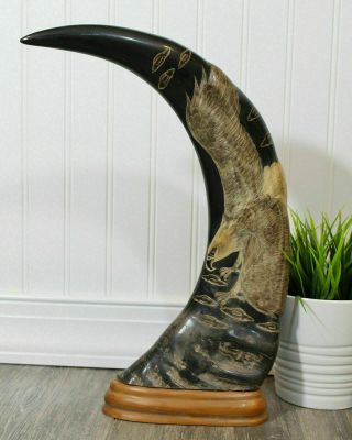 Vintage Hand Carved Eagles Water Buffalo Horns 14.  6 