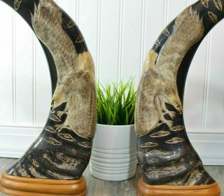 Vintage Hand Carved Eagles Water Buffalo Horns 14.  6 