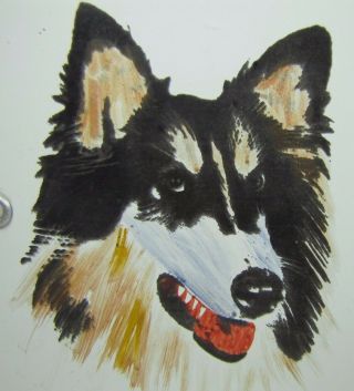 Vtg ATTENTI AL CANE ' Beware of the Dog ' Sign porcelain enamel hand painted dog 3