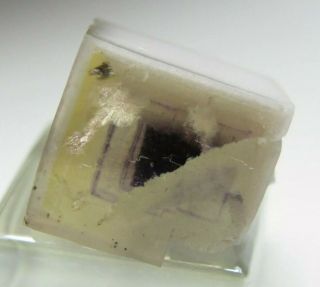 MAGNIFICENT RARE GEM PORCELAIN FLUORITE CRYSTAL SWEET HOME MINE COLORADO 2