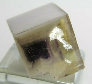 MAGNIFICENT RARE GEM PORCELAIN FLUORITE CRYSTAL SWEET HOME MINE COLORADO 3