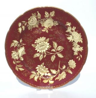 Vintage Wedgwood Porcelain - Ruby Tonquin Pattern 11 " Dinner Plate - Lovely