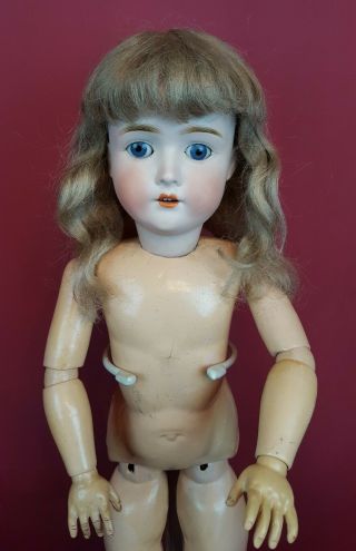 Antique German Bisque Head Doll Jointed Am My Girlie Iii Blue Sleep Eyes 25 "