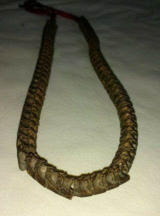Real Snake Vertebrae Beads From Nigeria Africa - Vintage Skeleton Necklace