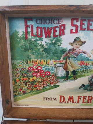 CHOICE FLOWER SEEDS Box,  w Children Gardening,  Vintage,  D.  M Ferry,  Detroit Mich. 3