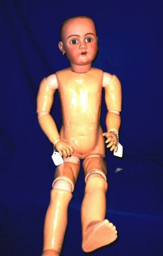 31 " Bisque Doll.  H.  6 - 42 Germany - Fully Jointed