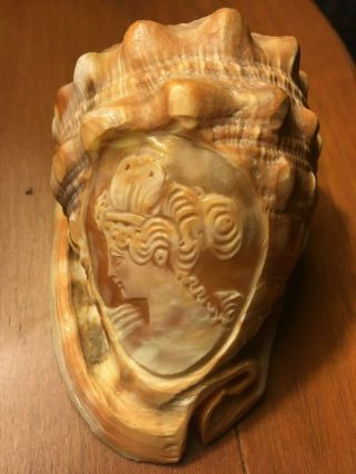 Rare Antique Victorian Cameo Full Shell Carving Lady Artisan Handmade