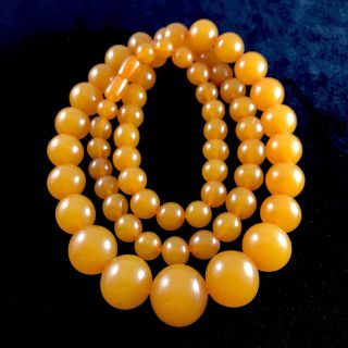 Vintage 60s Baltic Amber Necklace 79,  8 Gm.  Large Round Butterscotch Amber Beads.