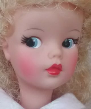 Vintage IDEAL Tammy Misty fashion glamour doll 1960s Babs Bild Lili adult owner 2