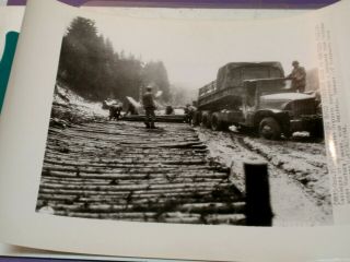 1944 Wwii Ap Wire Photo U.  S Engineers Build Corduroy Road Hurtgen Forest Dsp480