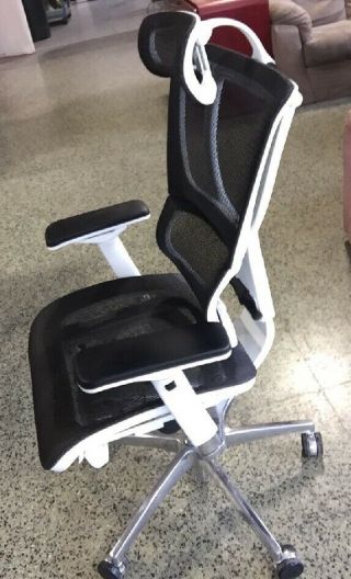 Eurotech Ergohuman 100w High Back Headrest & Mesh Office Chair Rare White