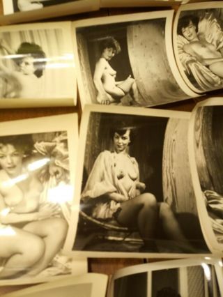 vintage nudes 1950s - 1960s risque black and white over 130 photos 2