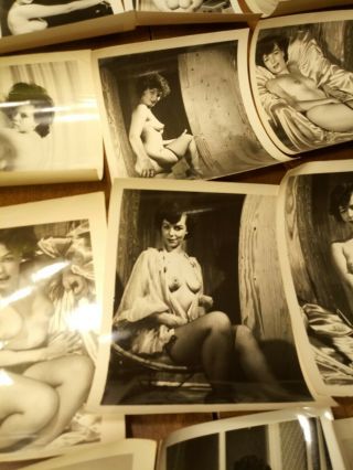 vintage nudes 1950s - 1960s risque black and white over 130 photos 5