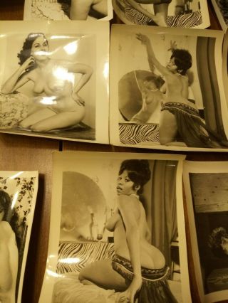 vintage nudes 1950s - 1960s risque black and white over 130 photos 7