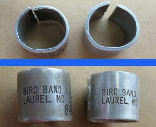 2 Vintage Duck,  Goose ?? Bird Band U.  S.  Laurel,  Md 848 - 00402 & 878 - 94493.