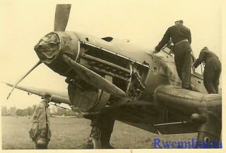 Best Luftwaffe Ju - 87 Stuka Dive Bomber W/ Staffel Emblem (st.  G.  77)