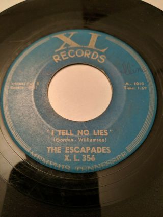 The Escapades:i Tell No Lies - She’s The Kind 7 " 1966 Xl Records 356 Rare Garage