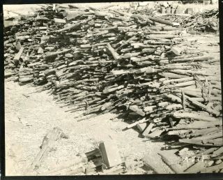 Wwii 1943 4th Field Hospital - Surrendered German Rifles,  Tunis