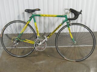 Vintage Schwinn Paramount Lemon Lime Road Bike 22 " Campagnolo Cinelli Clement