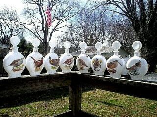 Vtg 1969 Complete Set Of 8 J.  W.  Dant Field Birds Whiskey Decanters