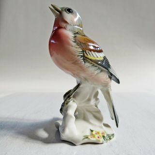 Exc Vtg Karl Ens Germany Bird Porcelain China Figurine Figure Red Breasted Finch