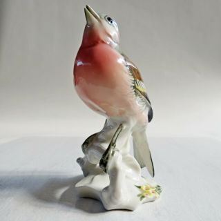 EXC Vtg Karl ENS Germany Bird Porcelain China Figurine Figure Red Breasted Finch 2