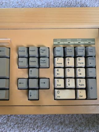 Vintage Multitech Clicky Keyboard Blue Alps Switches Model KB097 - PC/AT 6