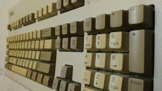 Vintage Dell PS/2 Beige AT101W Mechanical Keyboard GYUM90SK AT101W Blk ALPS 3