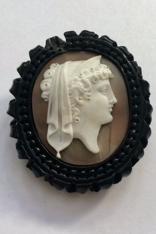 Large Antique Victorian Whitby Jet Carved Shell Cameo Brooch.