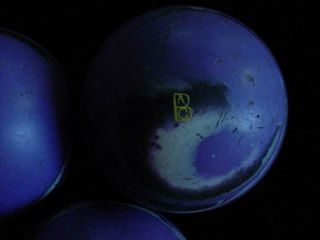 (3) Vintage ABC Comet? duckpin bowling balls purple black white swirl 3.  5 pound 2