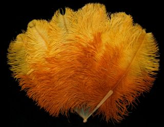 Large Antique Art Deco Yellow & Orange Ombré Feather & Horn Flapper Fan Ca.  1925