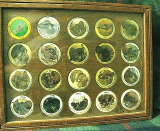 1985 - 2004 National Wild Turkey Federation - Nwtf Badges - 20 Pins Framed