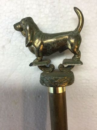 Antique Vintage Walking Stick Cane With Cast Metal Basset Hound Dog Top Handle