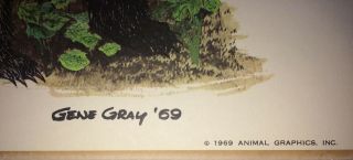 Gene Gray - Striped Skunk - print 1969 SIGNED LTD ED.  Vintage Animal Prints 4
