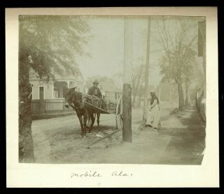 Vintage Street Scene Cabinet Photo 1890s Mobile Alabama